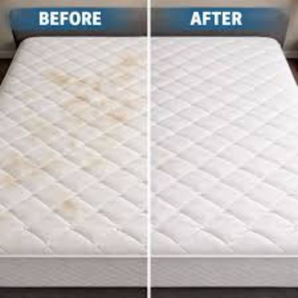 Mattress Cleaning Malaysia Before After