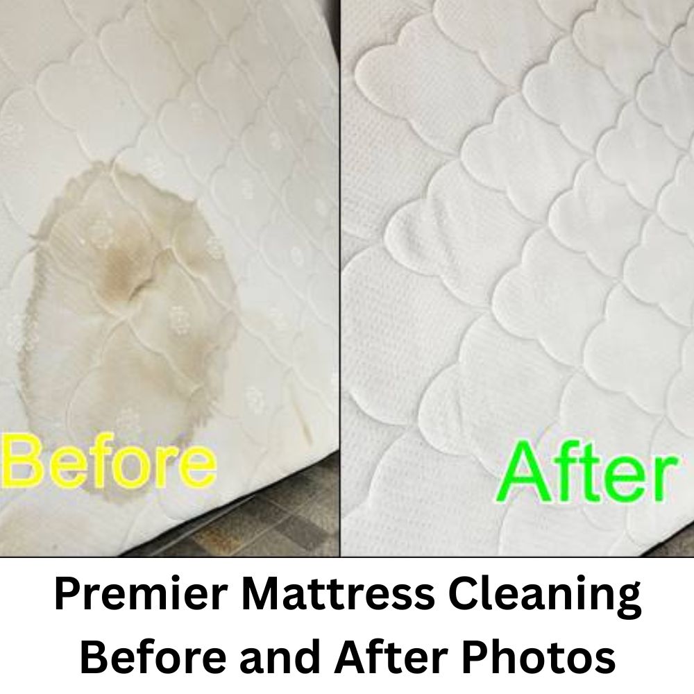 Mattress Cleaning Service Malaysia Before After Photos
