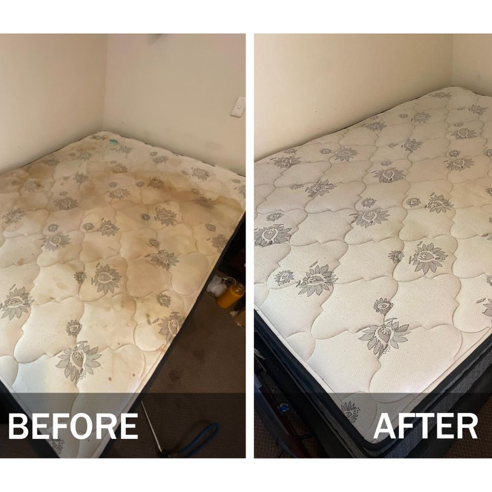 Mattress Cleaning Service Malaysia Before After